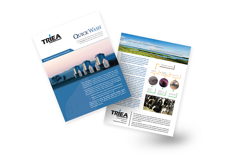 Triea Flyer